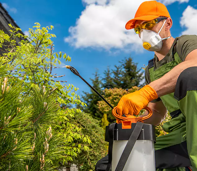 Your Best Bug Spray for Home Team in Reston, VA