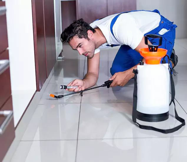 Reliable Professional Mouse Removal: Your Best Mouse Control Company in Reston, VA