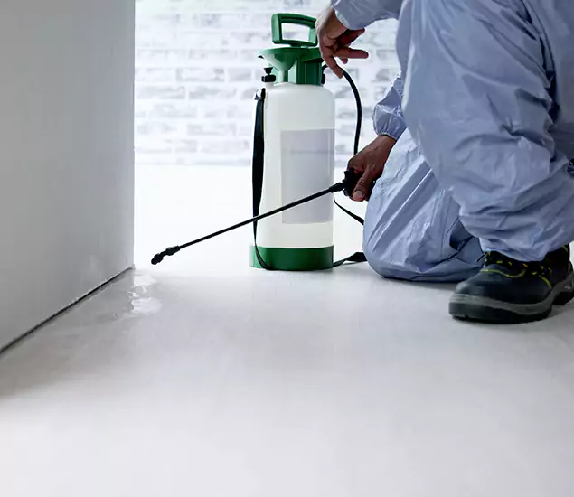 Affordable Pest Control Experts in Reston, VA