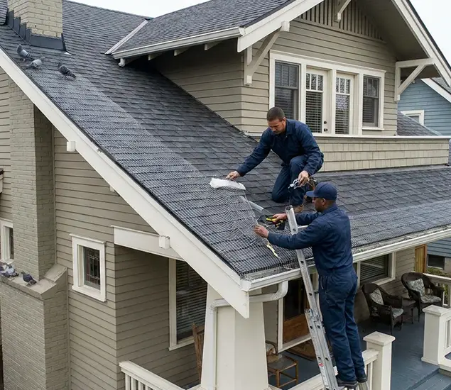 Your Pigeon Control Experts in Reston, VA