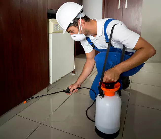 Advanced Termite Pre Treatment Experts in Reston, VA