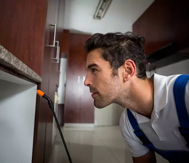 Expert Rodent in Attic Removal: Your Proven Pest Specialists in Reston, VA