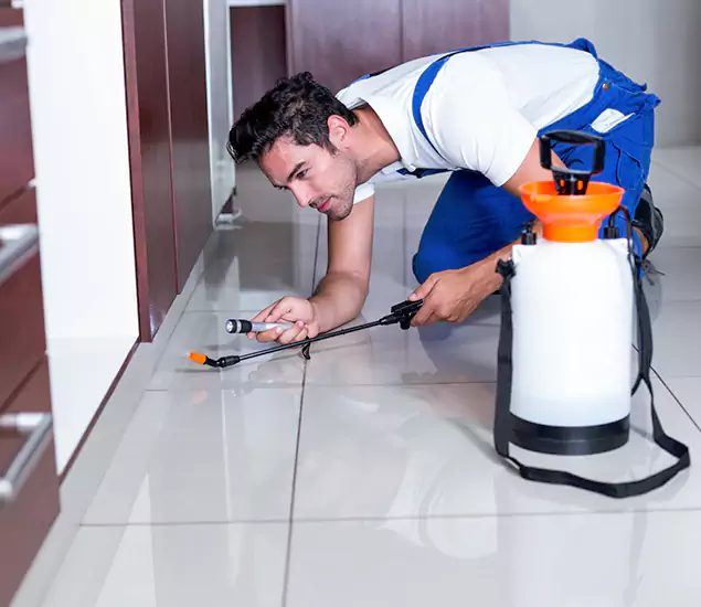 Advanced Slab Termite Treatment Experts You Can Trust&nbsp;in Reston, VA