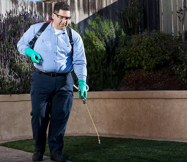 Reliable Termite Barrier Treatment Experts in Reston, VA