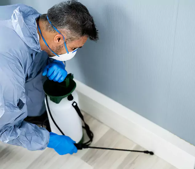 Reliable Termite Cost Experts in Reston, VA