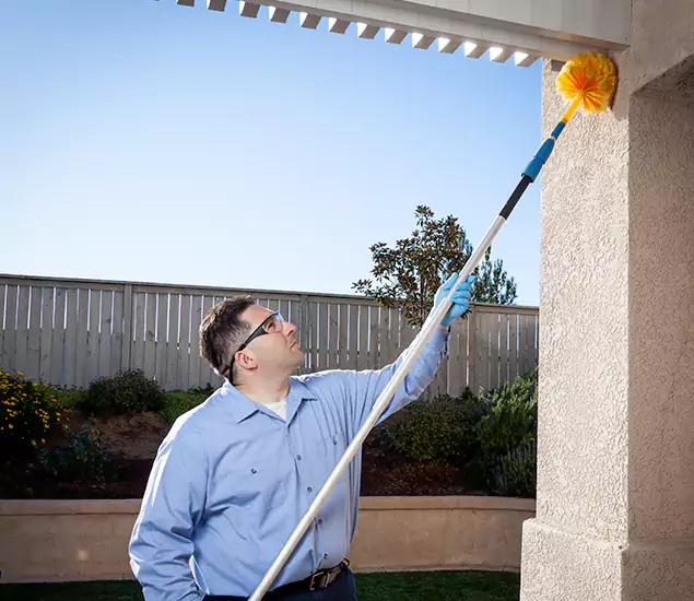Your Trusted Wasp Removal Company in Reston, VA