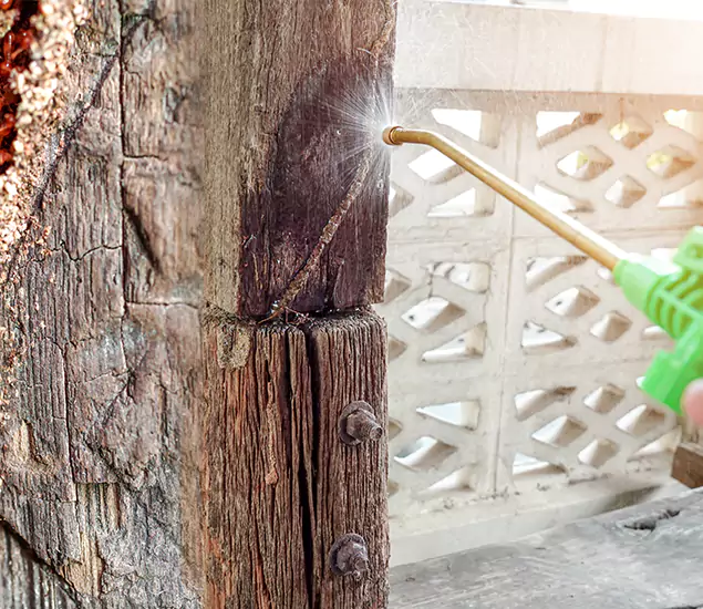 About Wood Termite Treatment Services in Reston, VA