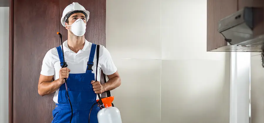 Per Room Bed Bug Cost in Reston