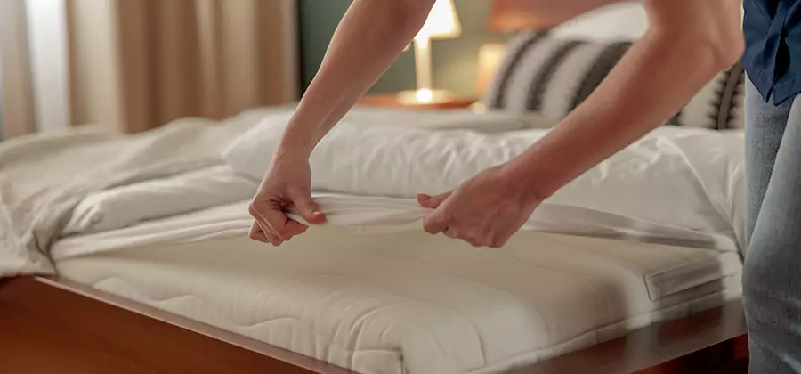 Bed Bug Extermination Services in Reston