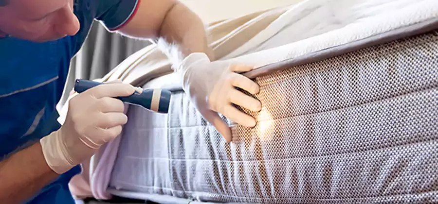 Residential Bed Bug Treatment Cost in Reston