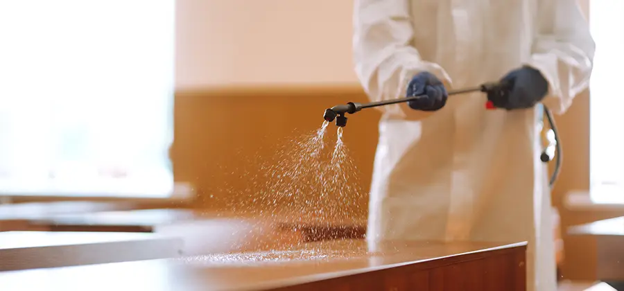 Residential Bed Bug Treatment Option in Reston