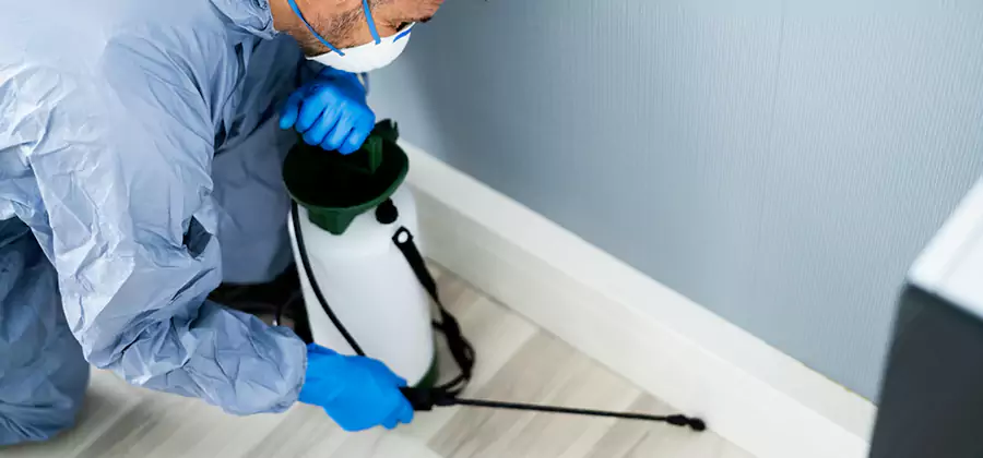 Fumigate Apartment Roaches in Reston