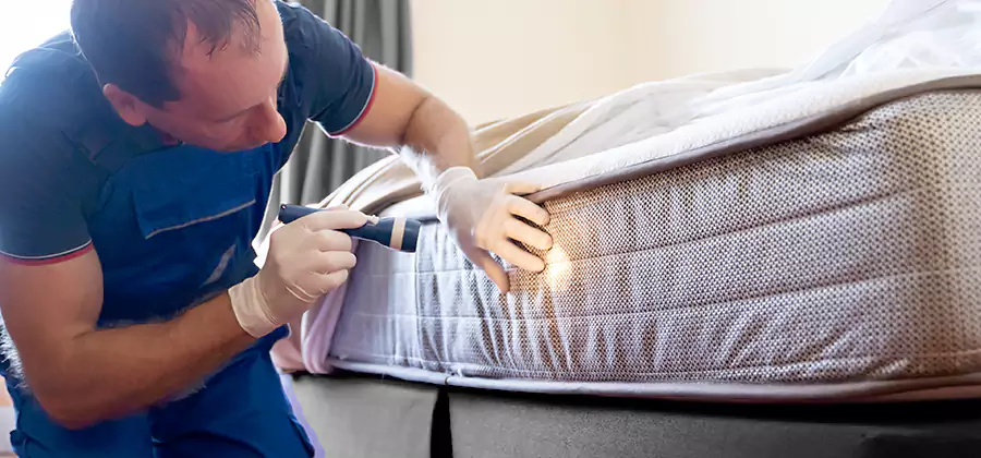 24 Hour Bed Bug Pest Control in Reston