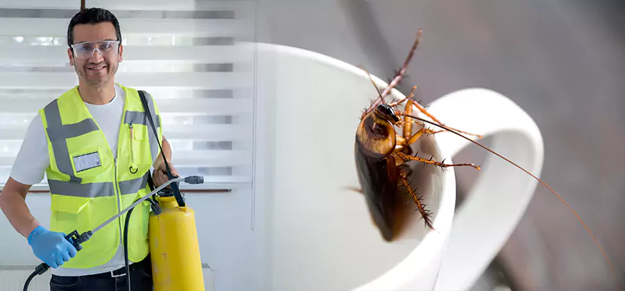 German Roach Infestation Treatment Reston