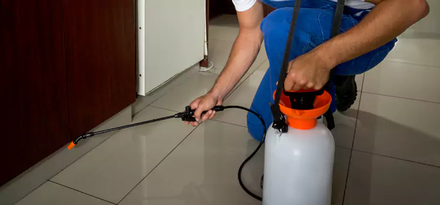 Indoor Mosquito Treatment in Reston