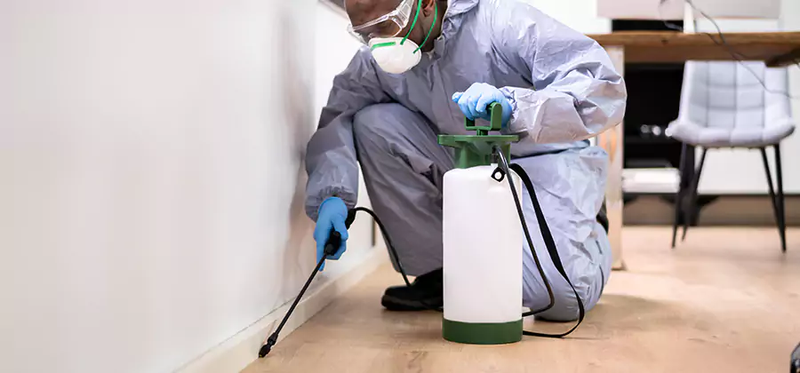 Long Lasting Mosquito Treatment in Reston