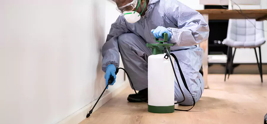 No Tent Termite Extermination With Electric Tool in Reston