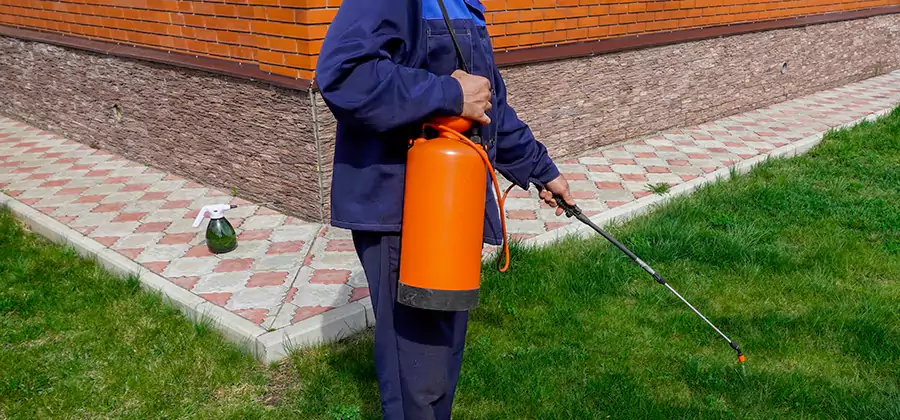 Non Toxic Termite Treatment in Reston
