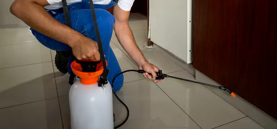 One Time Termite Control in Reston