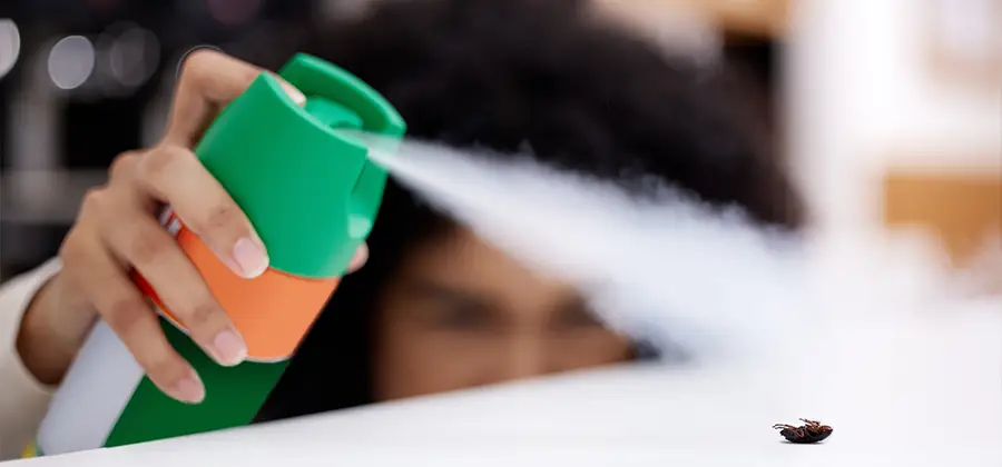 Child Safe Bed Bug Treatment in Reston