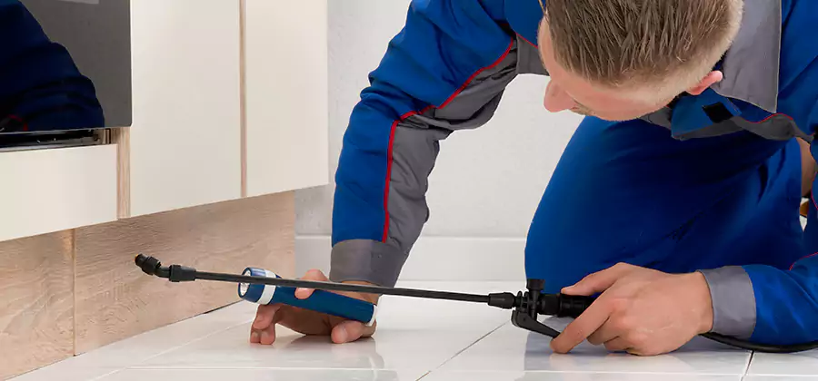 Moisture Treatment For Termite Control Service in Reston