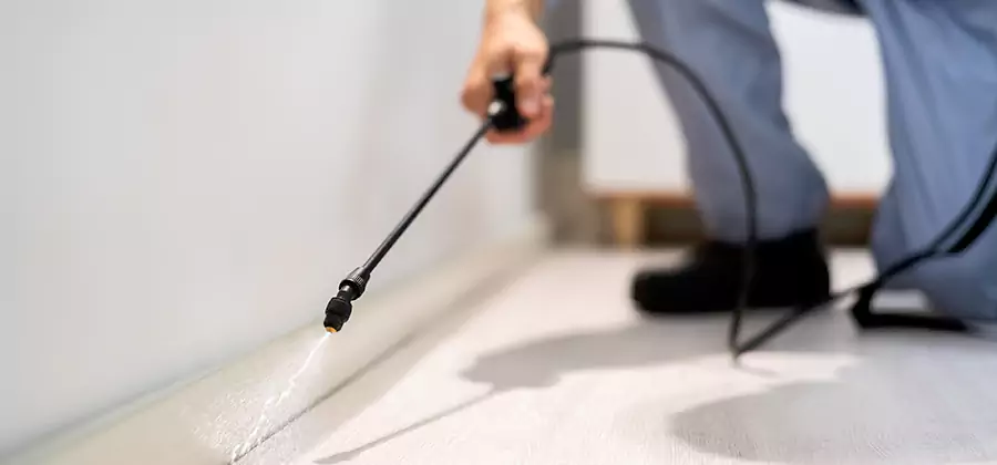 Direct Termite Injection Treatment in Reston