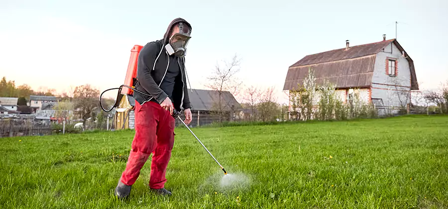 Flea and Tick Pest Control in Reston