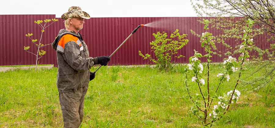 Flea and Tick Spray for Yard in Reston