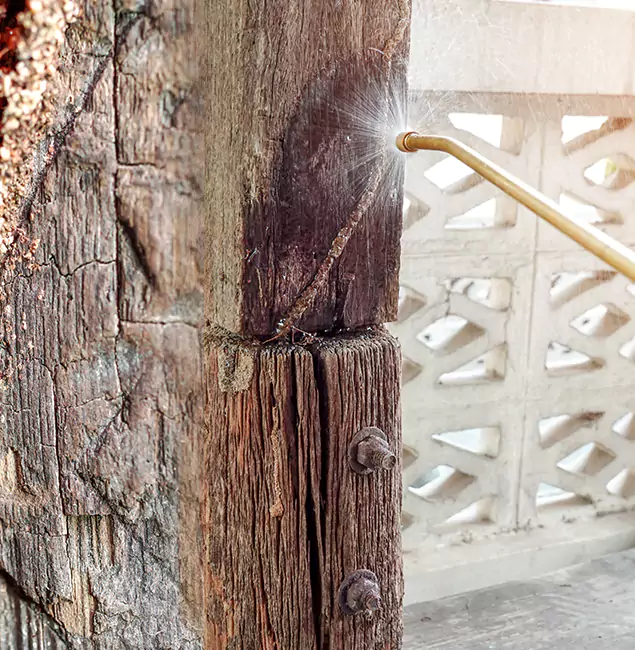 Why Choose Reston Pest Control Pro for Attic Termite Treatment in Reston, VA?