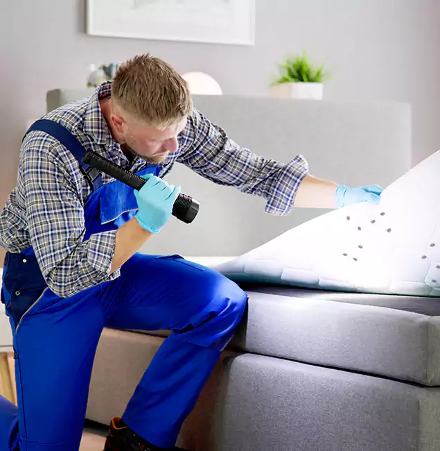 Why Choose Reston Pest Control Pro for Bed Bug Exterminator Cost in Reston, VA?