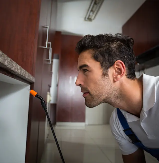 Why Choose Reston Pest Control Pro for Bed Bug Removal Cost in Reston, VA?