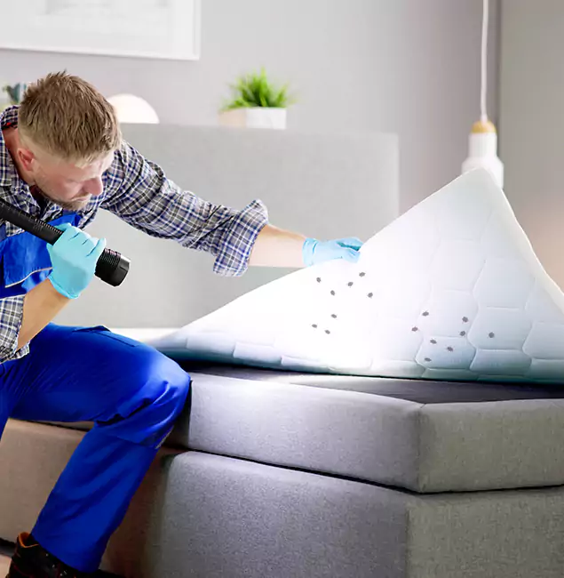 Why Choose Reston Pest Control Pro in Reston, VA?