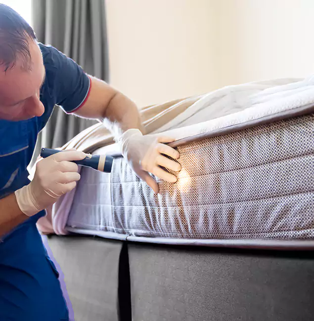 Why Choose Reston Pest Control Pro for Bed Bug Services in Reston, VA?