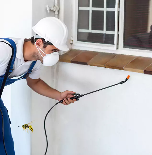 Why Reston Property Owners Choose Reston Pest Control Pro for Bee Nest Removal?
