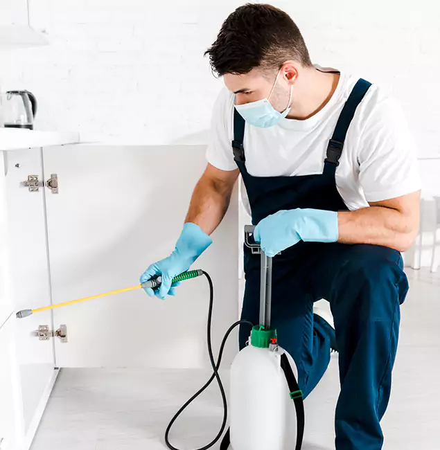 Why Choose Reston Pest Control Pro for Emergency Pest Control in Reston?