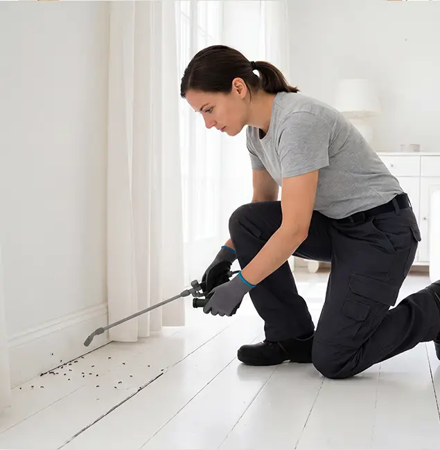 Why Reston, VA Property Owners Trust Reston Pest Control Pro for Fire Ant Control?