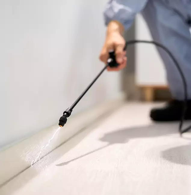 Why Choose Reston Pest Control Pro for Termite Treatment in Reston, VA?