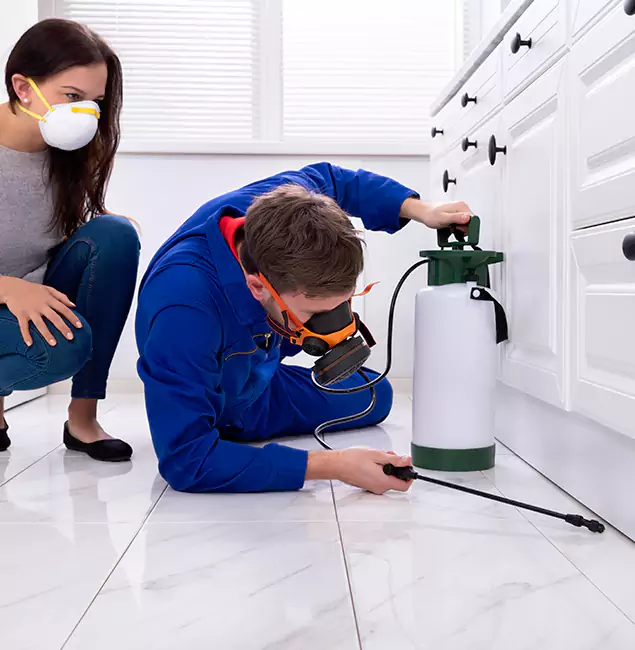 Why Reston, VA Homeowners Trust Reston Pest Control Pro for Roach Control?