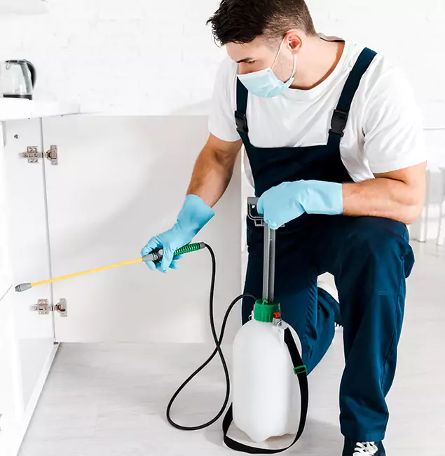 Why Choose Reston Pest Control Pro for Indoor Pest Control in Reston, VA?
