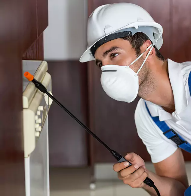 Why Reston Homeowners Rely on Reston Pest Control Pro for Tick Treatment?