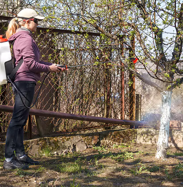Why Reston Homeowners Choose Reston Pest Control Pro for Mosquito Abatement?