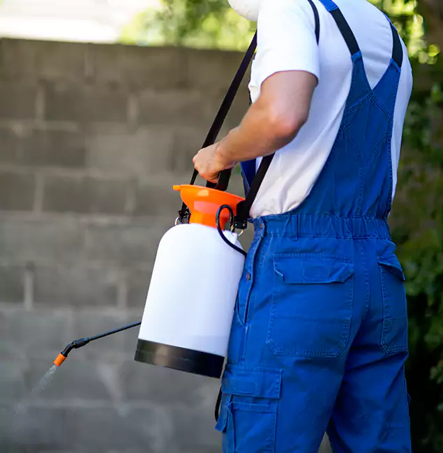 Why Reston Homeowners Rely on Reston Pest Control Pro for Mosquito Control?