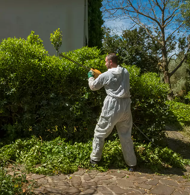Why Reston Pest Control Pro Leads Mosquito Control in Reston, VA?