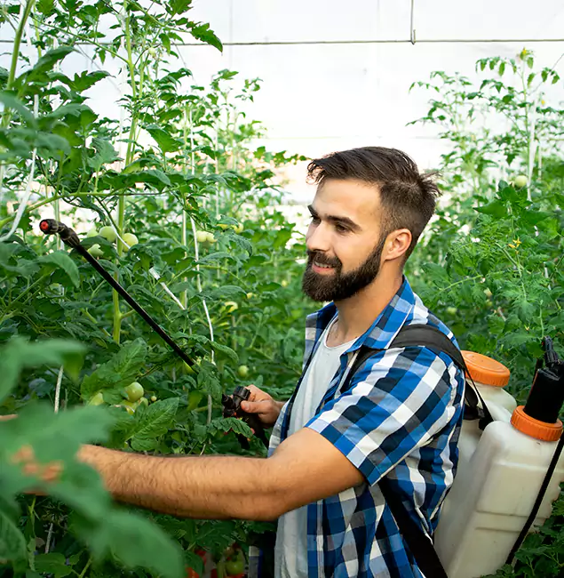 Why Reston Homeowners Choose Reston Pest Control Pro for Mosquito Spraying?