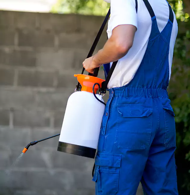 Why Reston Pest Control Pro Delivers the Best Mosquito Control in Reston, VA?