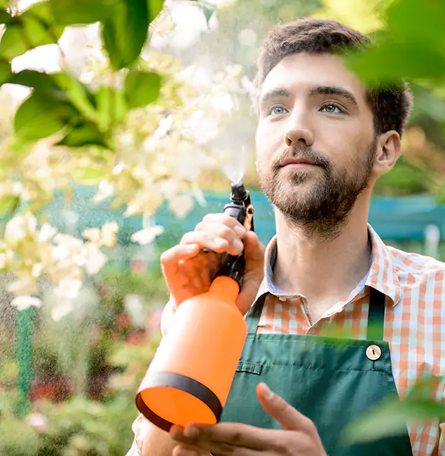 Why Reston Homeowners Call Reston Pest Control Pro for Mosquitoes in House?