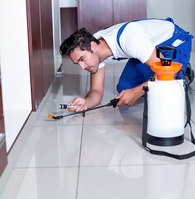Why Reston Pest Control Pro Is the Proven Choice in Reston, VA?