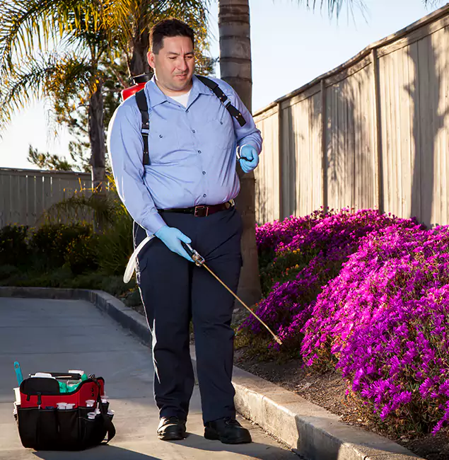 Why Choose Reston Pest Control Pro in Reston, VA?