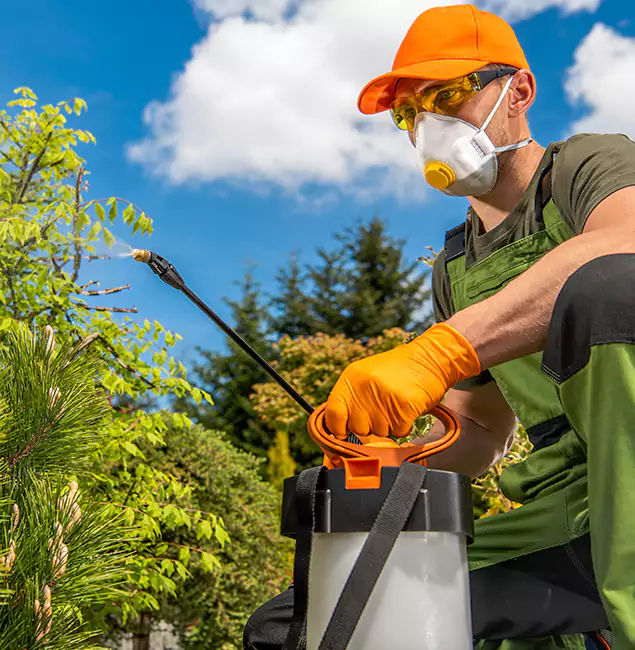 Why Choose Reston Pest Control Pro for Outdoor Pest Control in Reston, VA?