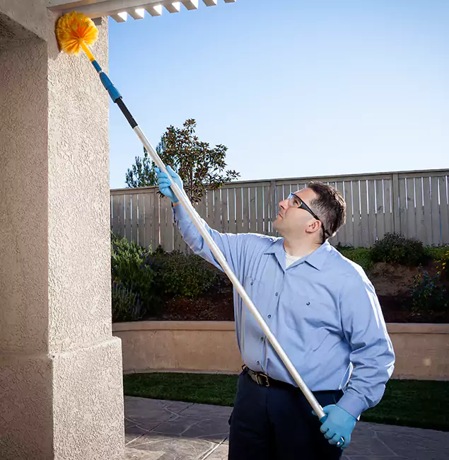 Why Choose Reston Pest Control Pro for Pest Control Services in Reston, VA?
